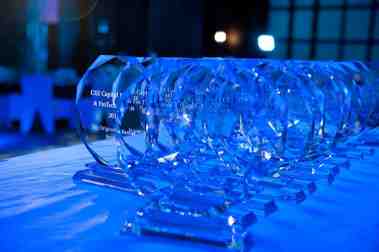 CEE Capital Markets and Fintech Awards - Pedersen and Partners Executive Search